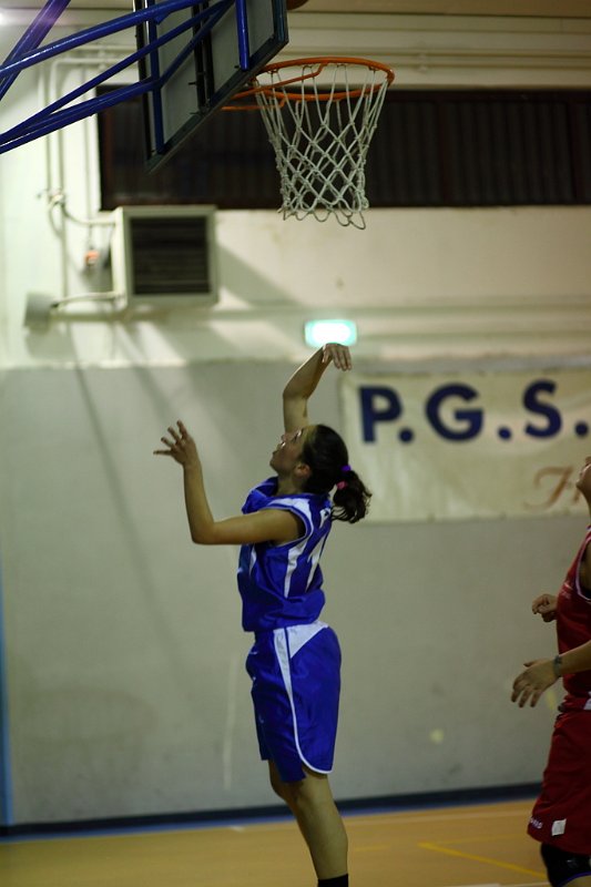 Basket 443005